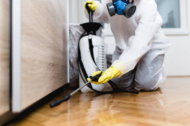 Best Cockroach Control Services  in Algood, TN