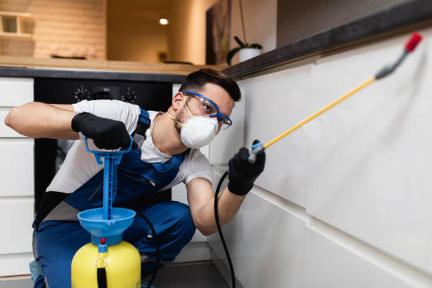 Wasp Removal Services in Algood, TN