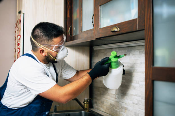 Best Wasp Removal Services  in Algood, TN