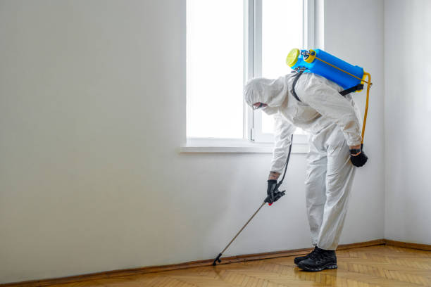 Best Local Pest Control Services  in Algood, TN