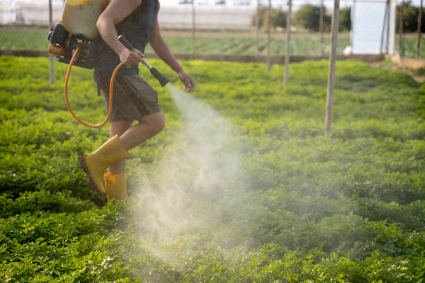 Best Best Pest Control Companies  in Algood, TN