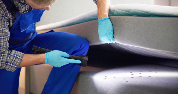 Best Termite Control Services  in Algood, TN