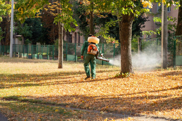 Best Commercial Pest Control Services  in Algood, TN