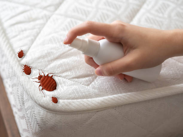 Pest Prevention Services in Algood, TN