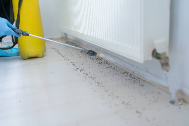 Best Pest Removal Services  in Algood, TN