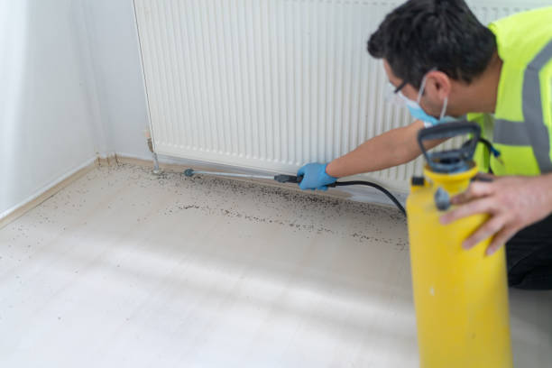 Trusted Algood, TN Pest Control Experts