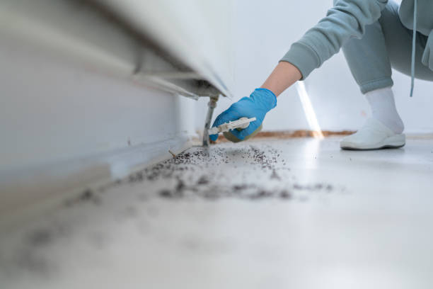 Best Affordable Pest Control Services  in Algood, TN