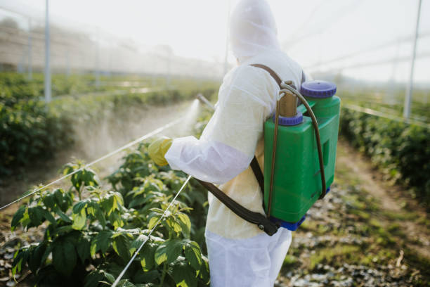 Pest Prevention Services in Algood, TN